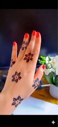 Rosèlle Instant henna ( black)